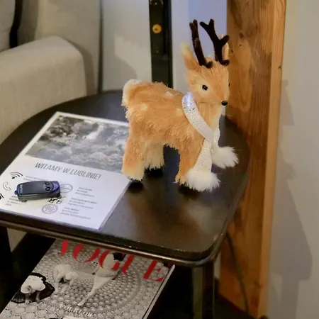 Apartment Zmigrod Lublin